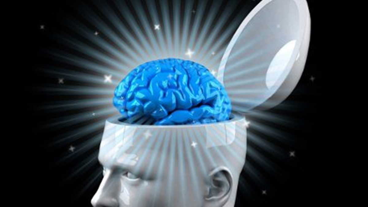 Se debe depurar el cerebro con regularidad para poder vivir saludablemente.