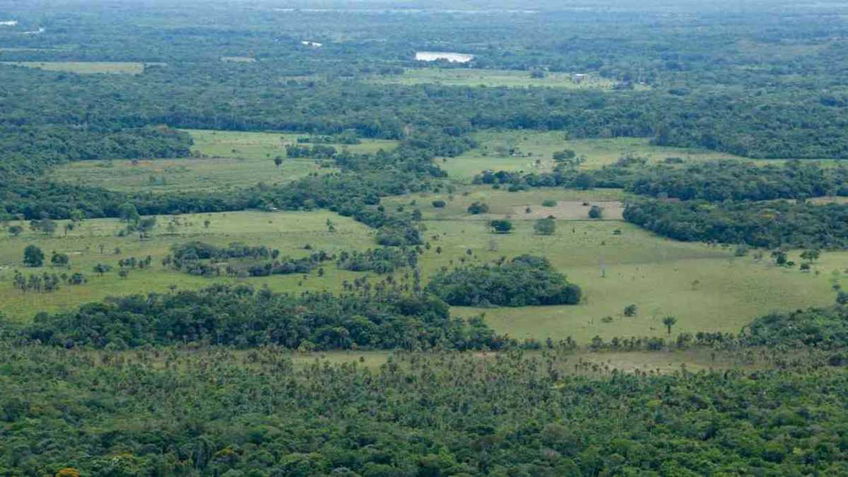 La deforestación en los parques nacionales naturales del Meta ha incrementado en los últimos siete años. Foto: Guillermo Torres / Semana - Colombia hoy 