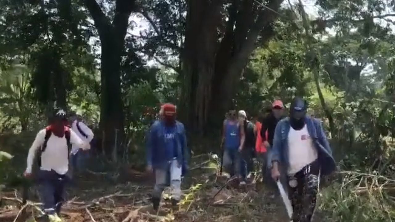 Video deja en evidencia del actuar de algunos invasores de tierras en Colombia