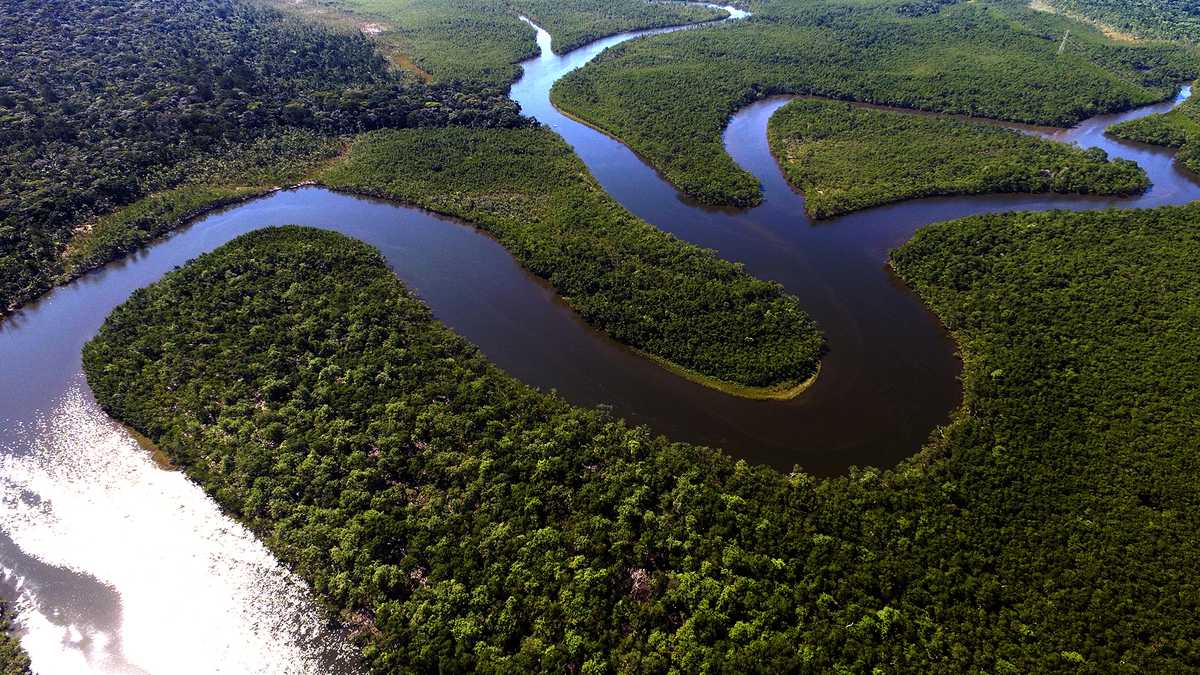 A través del proyecto Amazonía Viva se han protegido 250 hectáreas de bosque en el país.