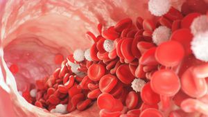 La hemoglobina es una proteína que se encuentra en los glóbulos rojos.