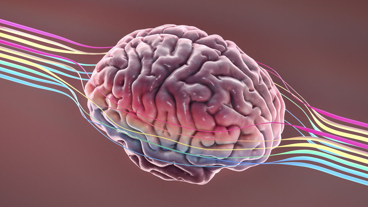 Un cerebro se sienta en el espacio con líneas de colores a su alrededor que representan pensamientos, ideas o creatividad