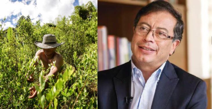 Gobierno Petro otorgó el primer registro de abono orgánico con composición de hoja de coca