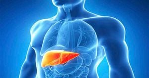 Cerca del 3 % de la población mundial tiene hepatitis C y unas 500.000 mueren cada año por complicaciones en el hígado derivadas de esta infección. 