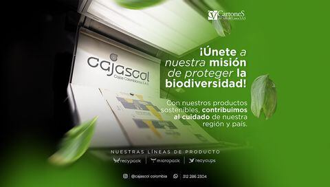 Cajascol es una compañía que se ha posicionado como un referente nacional e internacional por elaborar productos a base de cartón.