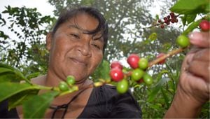 Maria Cecilia Valencia es una indígena Nasa que lleva su legado cosechando café en Tierradetro