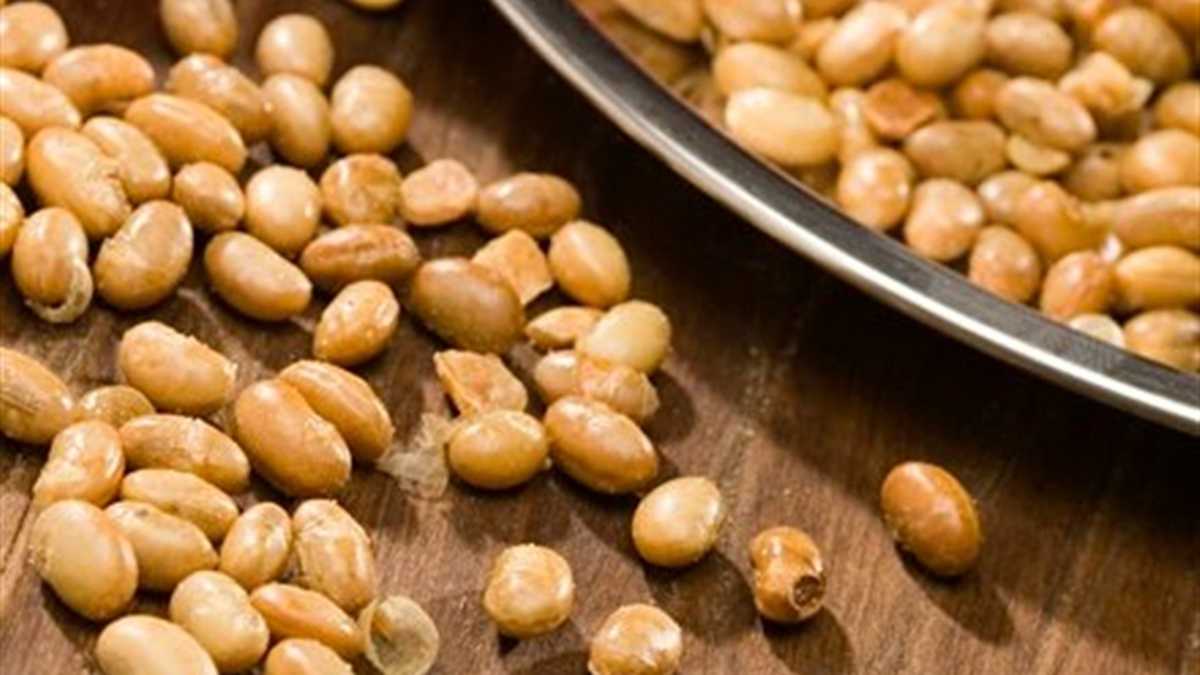 La lecitina de la soja tiene un alto contenido en grasas buenas lo que hace sea un alimento altamente energético