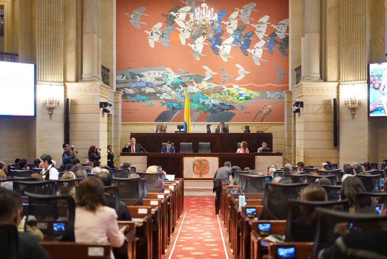 En el Congreso se llevó a cabo una audiencia sobre la reforma a la salud.