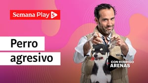 Perro agresivo - Rodrigo Arenas en EduCANdo Manadas