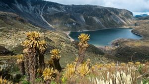 Colombia cuenta con más de 48.000 humedales según WWF