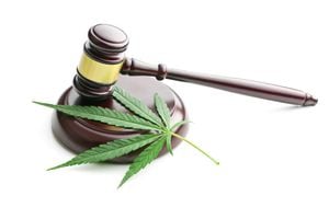 la hoja de cannabis y el mazo de juez