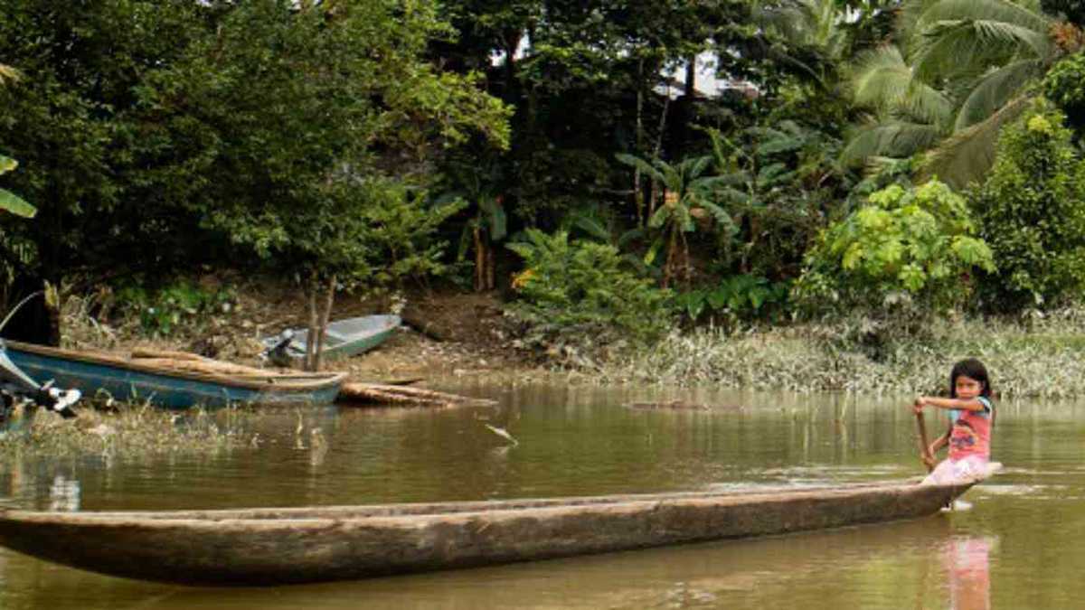 Chocó sigue siendo el enclave de la guerra entre quienes se disputan los territorios que antes fueron ocupados por las FARC. 