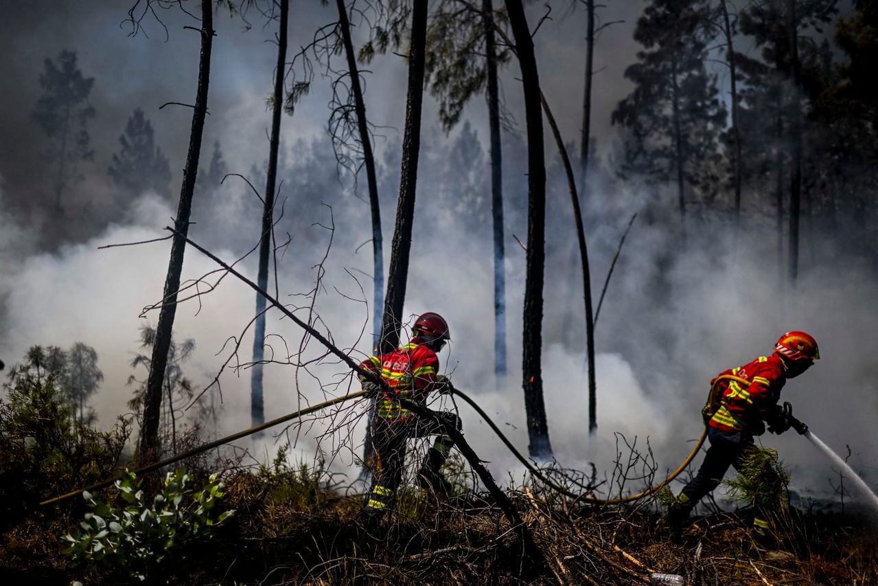 Más de 1000 bomberos lucharon hoy contra un incendio forestal en el centro de Portugal cuando las autoridades advirtieron que miles de hectáreas estaban en riesgo en medio de las altas temperaturas en todo el país.