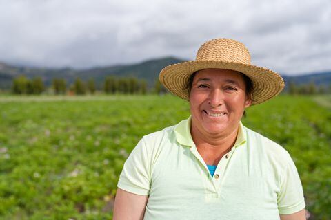 Más del 60 por ciento de alimentos que se consumen en Colombia los producen mujeres campesinas, pero solo el 26 por ciento de las unidades productivas están a su cargo. Las mujeres realizan tareas como ordeñar o cultivar al mismo tiempo que se responsabilizan de las labores del hogar. Por eso la titularidad de tierras en esos casos es menor. Foto: GettyImages