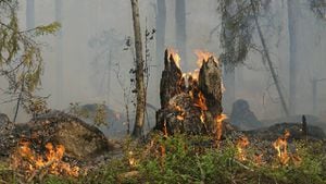 Incendio forestal (Imagen de referencia).