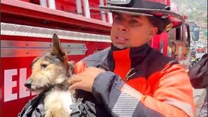Un perrito fue rescatado de la corriente del río Medellín, por el cuerpo de bomberos de Bello, Antioquia