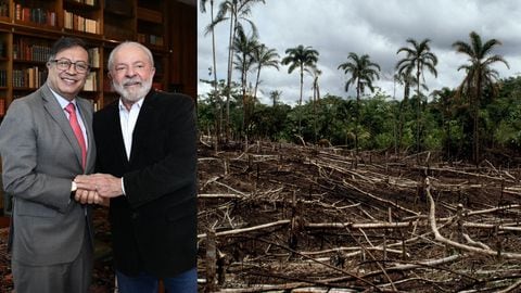 WWF destaca la presencia de Petro y Lula en cumbre para salvar el Amazonas