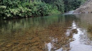 El río Piedras es el segundo más caudaloso después del Cauca.