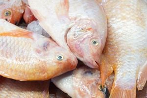 La Secretaría recomienda abstenerse de comprar pescados y derivados de la pesca en ventas ambulantes.