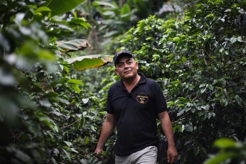 Luis Alfonso Ávila, beneficiario del programa Bienestar Rural de Compensar en la vereda Boca de Monte.