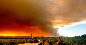 Los incendios y las olas de sequía son una clara muestra de los efectos del cambio climático. Foto: AP