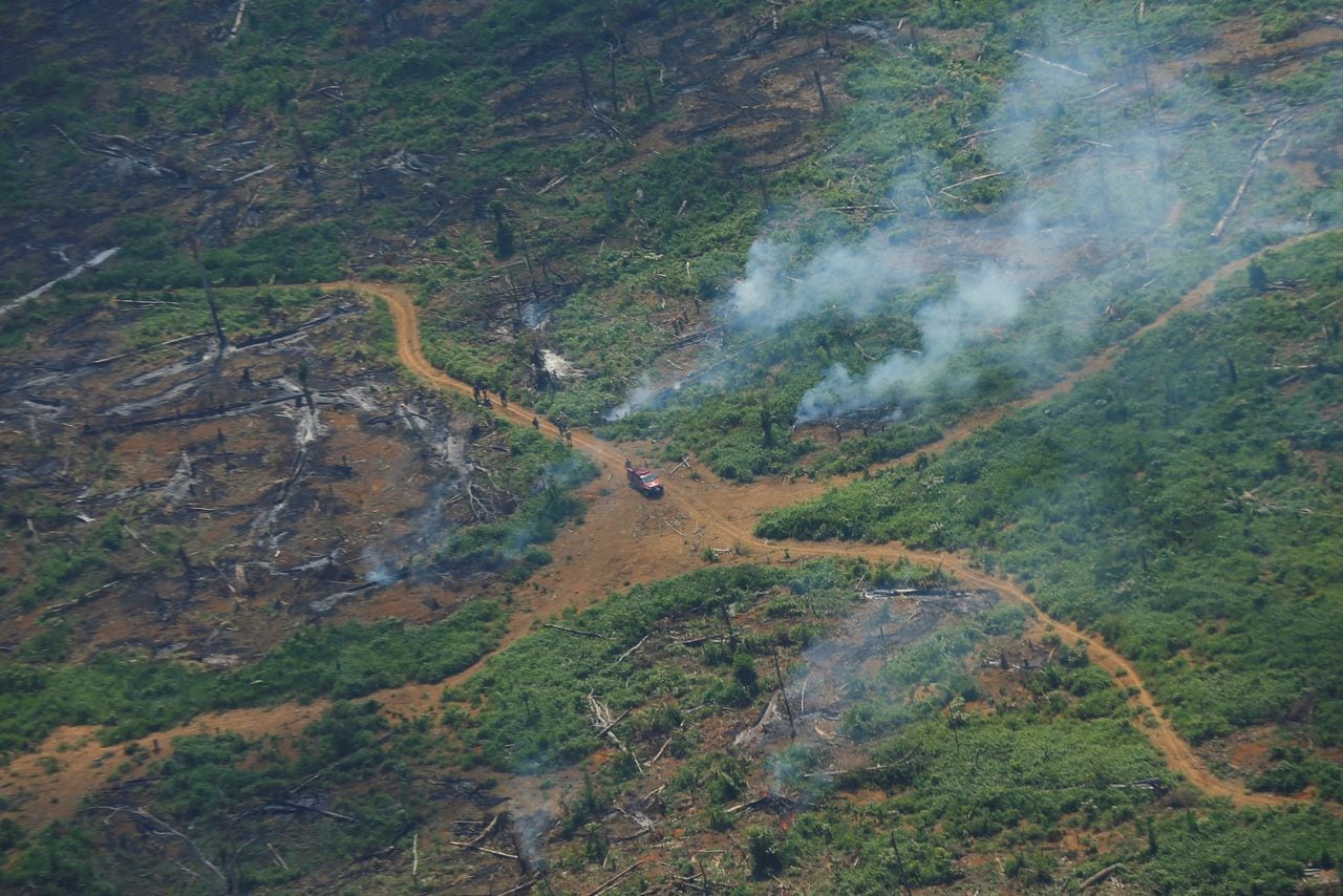 Ondas de humo de un incendio en esta vista aérea que muestra una parcela deforestada de la selva amazónica en el estado de Rondonia, Brasil. REUTERS / Adriano Machado