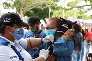 Más de 200.000 perros y gatos han sido desparasitados y vacunados contra la rabia.