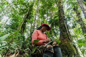 Chela Elena Umir, from the La Chorrera indigenous community and member of the Ecosystem Services Assessment (ESA) Technical Team, makes notes, as the team conducts an ecosystem service assessment of the forest surrounding La Chorrera, Predio Putumayo Indigenous Reserve, Department of Amazonas, Colombia.