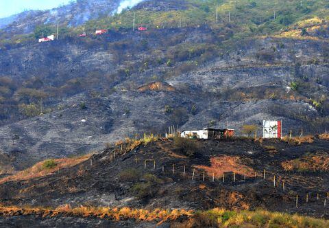 Cali: Varias familias afectadas y una gran extensión de montaña incineradas deja como resultado el incendio presentado en la zona alto de Menga, la campiña y barrios aledaños. Los operativos de control de los focos aún persistente continúan.