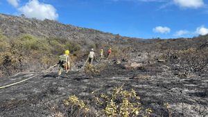 Autoridades controlaron incendio en Tominé