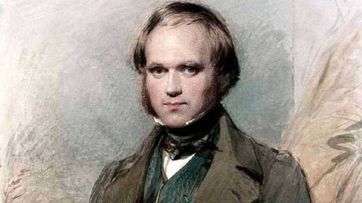 Charles Darwin y otros célebres genios, como Beethoven, hacían largas caminatas diarias. 