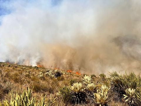 El incendio en el páramo de Santurbán ha consumido casi 200 hectáreas.