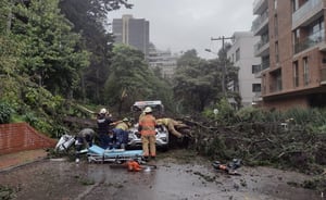 El árbol cayó en la carrera 7 A con calle 90, de la localidad de Chapinero, afectando una camioneta que pasaba por el lugar.