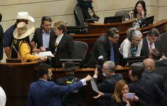 Segundo debate de la reforma pensional en la plenaria del Senado. Foto: Guillermo Torres.