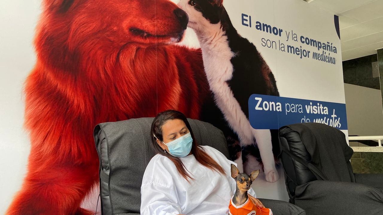 Hospital Marco Fidel Suárez de Bello,  Antioquia, permite que las mascotas visiten a los pacientes.