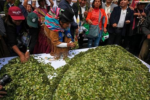 El Gobierno de Bolivia promulgó la Ley 864 en 2016, que despenalizó la masticación de la hoja de coca y la declaró patrimonio cultural del Estado Pluronacional de Bolivia y reiterando que en su estado natural no es un estupefaciente.
