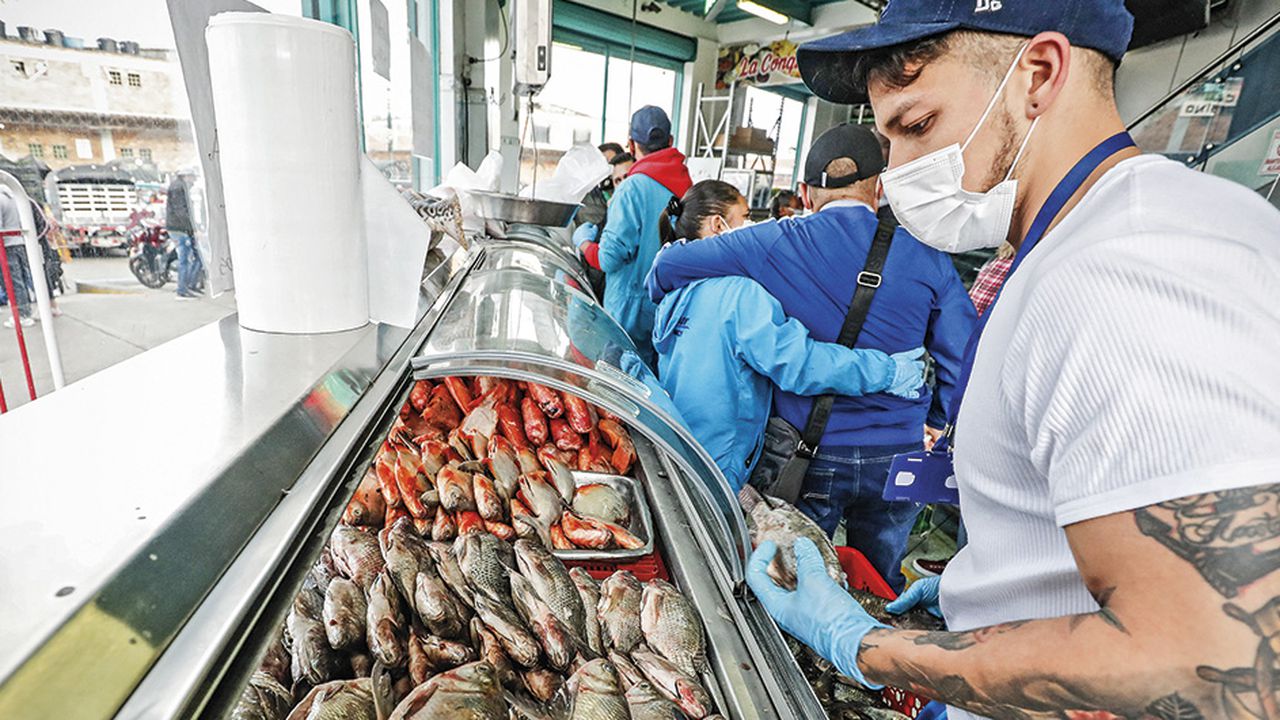 Los comerciantes de pescado están optimistas para la temporada de este año, aunque prevén que muchos consumidores reemplazarán los peces más costosos por unos más económicos.