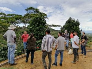 Proyecto de café sostenible en Serranía de San Lucas.