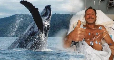 El buzo norteamericano Michael Packard fue tragado por una ballena jorobada, pero logró sobrevivir.