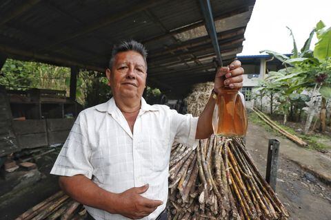 Braudelino Burgos, ‘Don Bola’, es el único productor de chapil de Ricaurte  que fermenta frutas como manzana y uva para darle color y sabor a esta tradicional bebida.