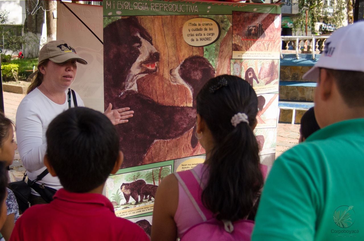 Adriana Reyes celebra que hoy la imagen del oso andino esté en las ciudades, en los murales y que los niños sepan que en Colombia tenemos osos.