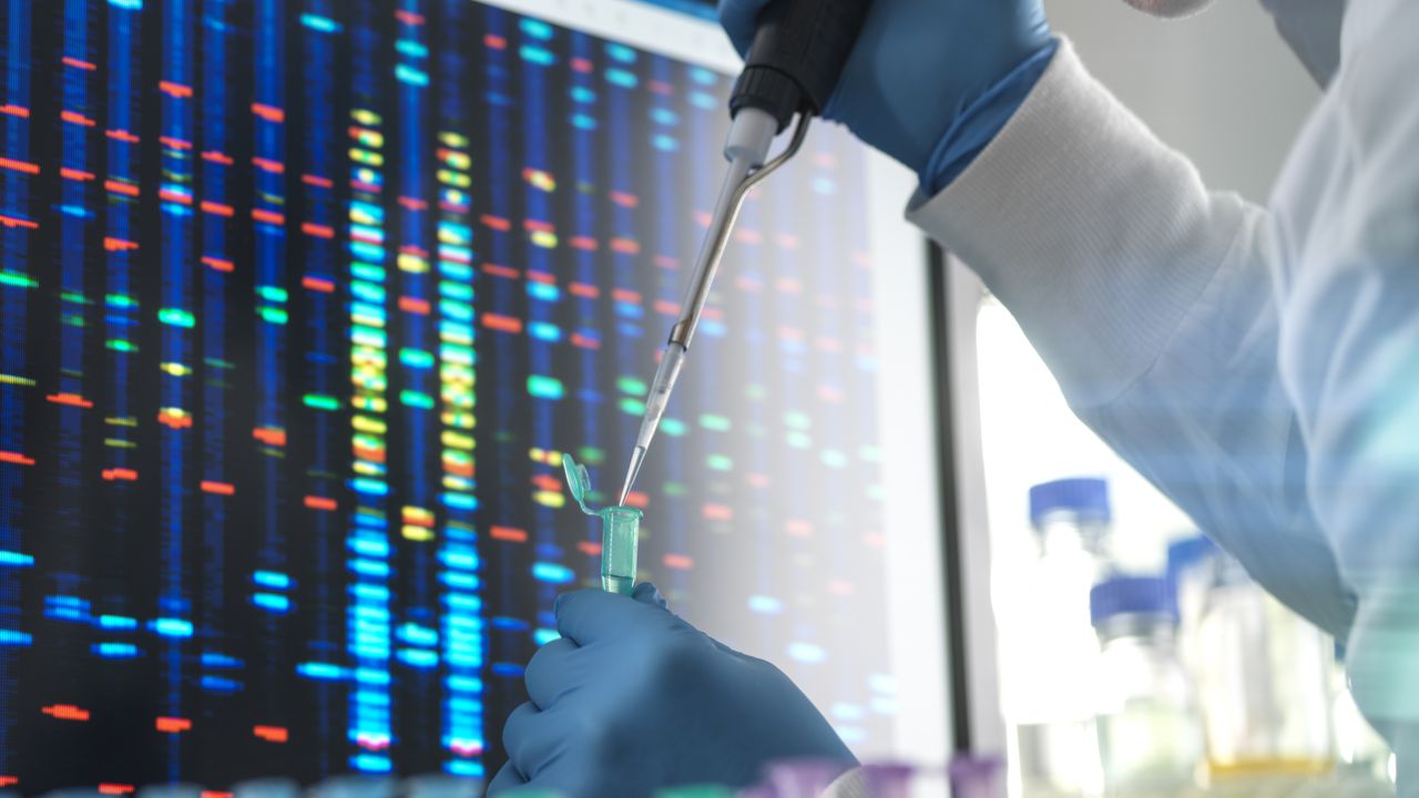 Con CRISPR, ahora es posible modificar el código genético de las células vivas.