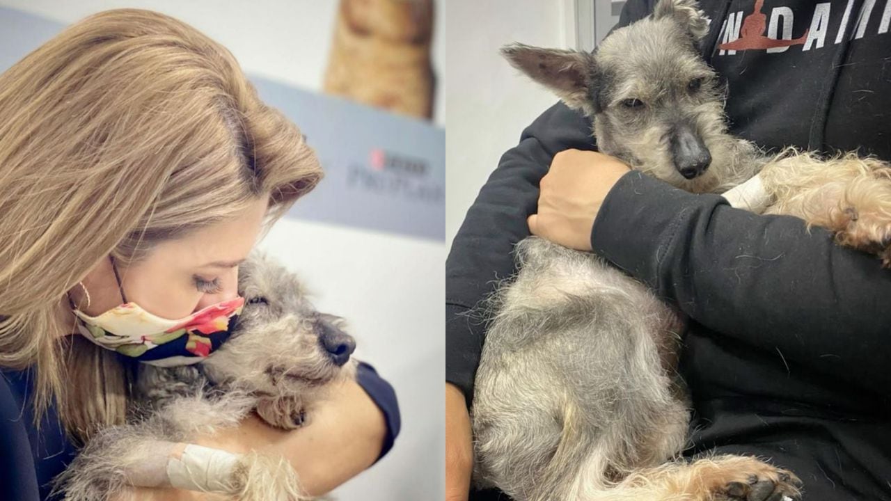 Entre lágrimas Ana Karina Soto da el último adiós a su querido perro Bruno