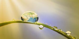 concepto de conservación: la tierra en una gota de agua