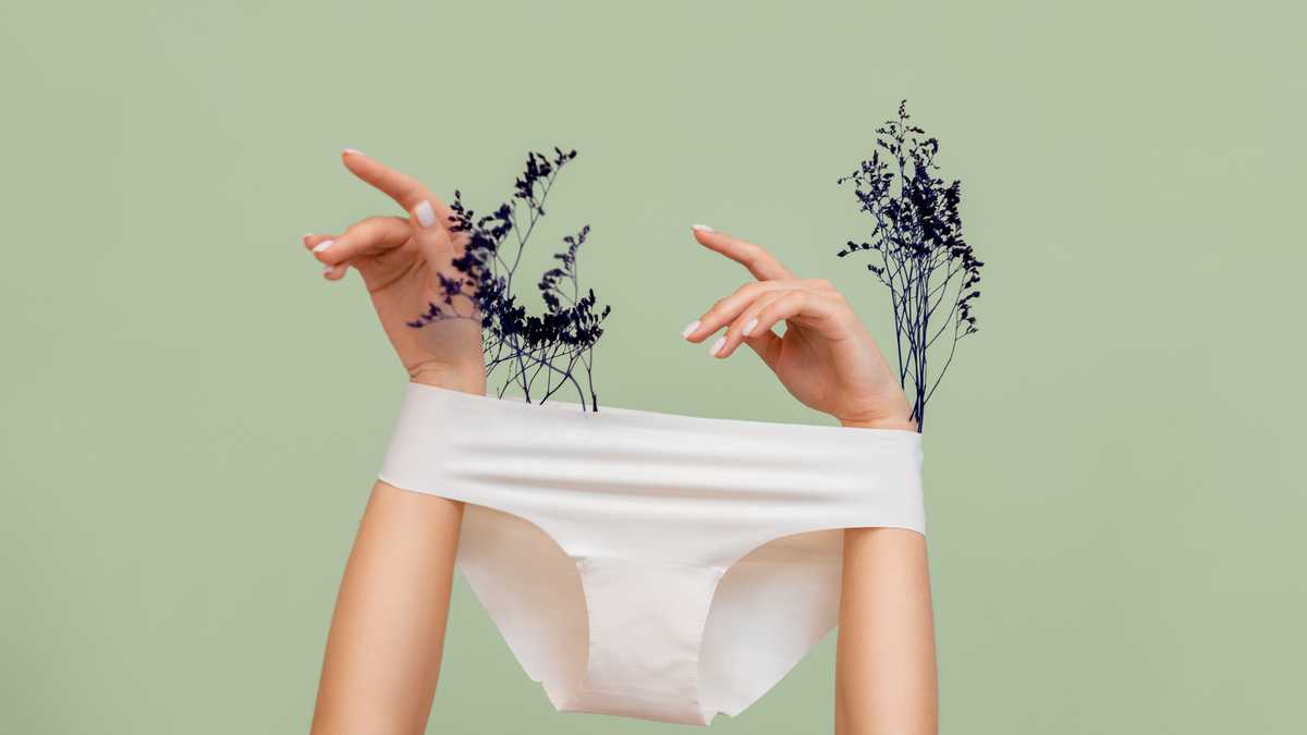 Female's hands, which hold dry plants, arms are wearing white panties. Green background. The concept of epilation of intimate areas and gynecology.