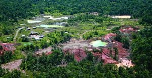 La deforestación en Colombia no solo ha puesto en riesgo a la biodiversidad, sino también a los campesinos.