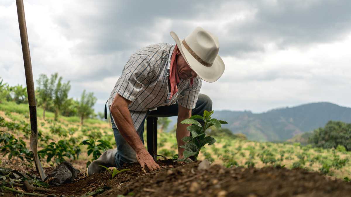 Foto de referencia de un campesino en Colombia trabajando la tierra