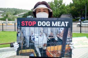 A Member of the Animal Freedom Solidarity hold a placard during a rally in front of the Blue House, Cheongwadae, the executive office and official residence of the President of the Republic of Korea ask for the enactment of the dog meat ban law on July 16, 2020 in Seoul, South Korea. (Photo by Chris Jung/NurPhoto via Getty Images)