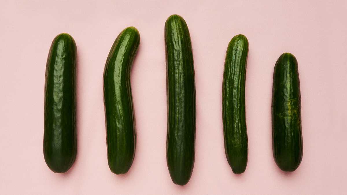 Studio shot of a row of cucumbers against a pink background