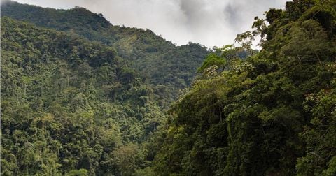 Ecosistemas de Antioquia